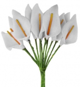 Toptan Beyaz Gala Çiçek 144 Adet