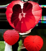 Toptan Kalp Şemsiye
