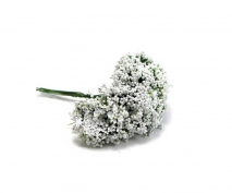Toptan Cipso Çiçek Beyaz Renk 144 Adet